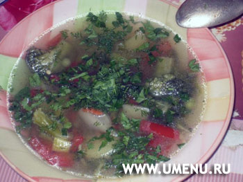 Мясной овощной суп